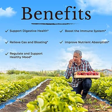 VITALITOWN Probiotics 120 Billion CFUs | 36 Strains, with Prebiotics & Digestive Enzymes for Men Women | Shelf Stable | Digestive Health & Immune Support | Vegan, Non-GMO | 30 Delayed Release Veg Caps - Image 5