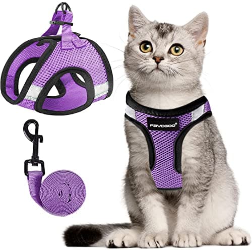 FAYOGOO Cat Harness, Cat Leash and Harness Set for Walking Escape Proof, Harness for Small Cats/Small Dogs, Large Kitten/Puppy Harness and Leash, Harness for Cats S-XXL(Modern Violet, Large) - Image 1