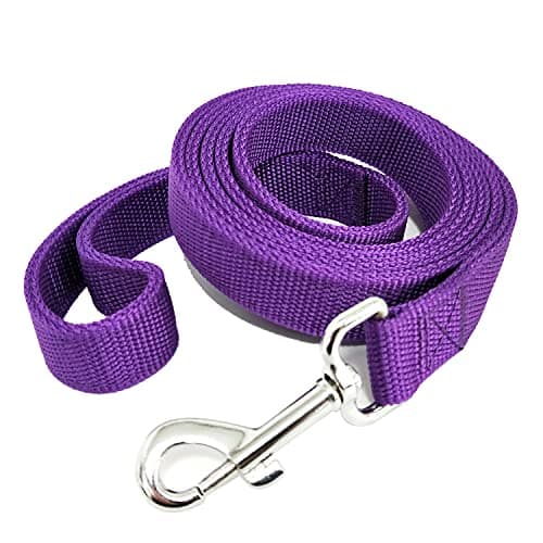 Strong Nylon Dog Leash with 2-Layer, 4 FT/ 6 FT/ 7FT Long, 1 Inch Wide for Medium Large Dogs (Purple, 1'' x 2 FT) - Image 1