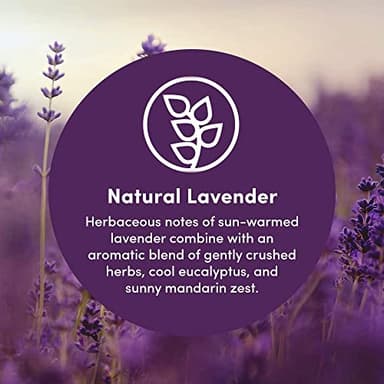 Clean Revolution Foaming Hand Soap Refill Supply Container. Ready to Use Formula. Natural Lavender Fragrance, 128 Fl. Oz - Image 2