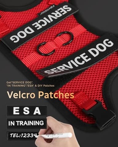 FAYOGOO Service Dog Vest for Small Dogs - Air Mesh Breathble Emotional Support Animal Vest with Velcro Patches - No Choke Puppy Harness and Leash Set Adjustable Neck and Chest - Image 4