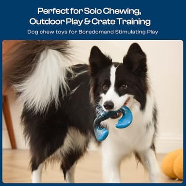 BLESQU Indestructible Dog Chew Toy – Crab-Shaped Tough Nylon for Aggressive Chewers, Teeth Cleaning, Bacon Flavor, Anxiety Relief, Durable Chew Toy for Large Dogs - Image 5