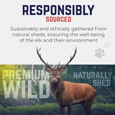 Devil Dog Pet Co. Elk Antlers for Dogs, Medium 5"+, 1 Pack, Grade A Long Lasting Chew for Aggressive Chewers, Premium USA Naturally Shed Antler – Healthy, No Odor, Durable Dog Chew - Image 5