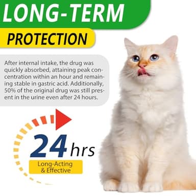 Antibiotics for Cats, Natural Antibiotic Pet Supplements Supports Immune & Cats Allergy Relief, Cat Multivitamin UTI Drops for All Ages & Breeds of Cat, Chicken Flavour - 2 Fl Oz / 1 Pack - Image 3