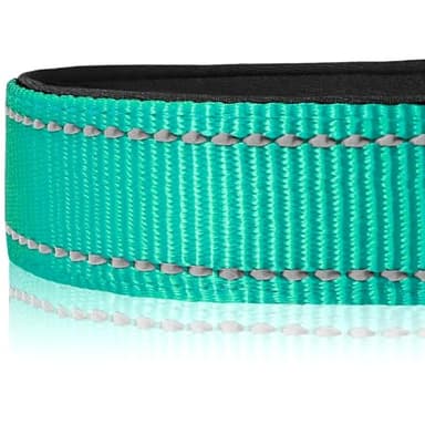 Joytale Reflective Dog Collar, Soft Neoprene Padded, Metal D-Ring, Nylon Pet Collar Adjustable for Extra Large Dogs, Teal, XL - Image 4