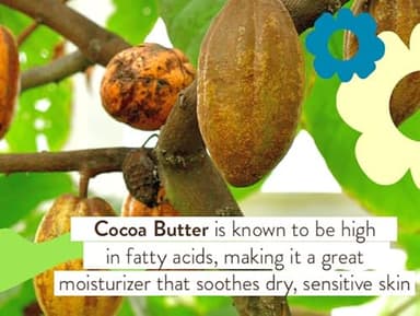 Babo Botanicals Super Shield SPF 50 Stick Sunscreen - 70% Organic Ingredients - Natural Zinc Oxide - For all ages - NSF & MADE SAFE Certified - EWG Verified - Water Resistant - Fragrance-Free - Image 3