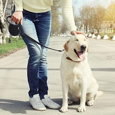 eing Retractable Dog Leash, Pet Walking Leash with Anti-Slip Handle, Strong Nylon Tape, 360°Tangle-Free, Suitable for Small Medium Dog Cat, Gift Waste Bags Dispenser Included,10 ft, Black - Image 7