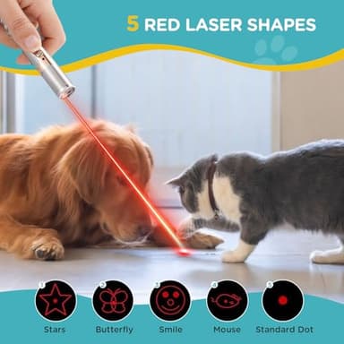 Koackl Cat Toy Pointer for Indoor, USB Rechargeable Cat Toy, 3 Light Colors Cat Interactive Toys for Dogs, Cats, Pet Chase Toy for Fun Playing Training Exercise Indoors - Image 2