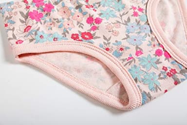 Sladatona Little Girls' Soft Cotton Underwear Bring Cool, Breathable Comfort Experience Panty 3-4t Mixed Colour Gray White - Image 4