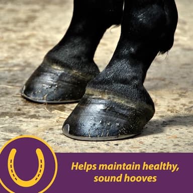 Horse Health Vita Biotin Crumbles horse hoof Supplement, Helps maintain healthy, sound hooves and strong hoof walls, 3 lbs., 48 day supply - Image 2
