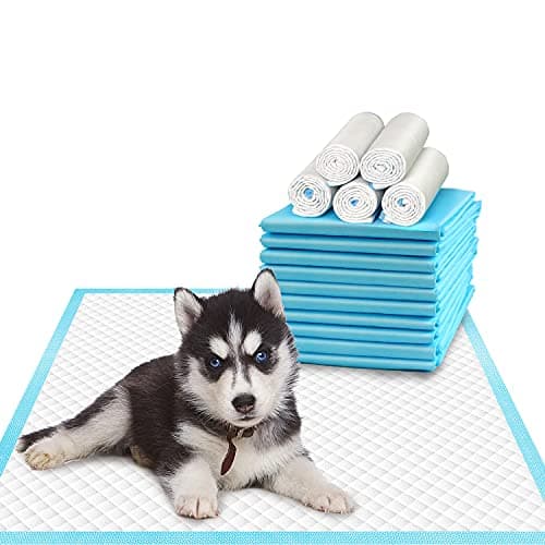 Deep Dear Pet Training and Puppy Pads 24"x24" (75 Count), Super Absorbent Pee Pads for Dogs, Leak-Proof Dog Potty Training Pads for Puppies, Cats, Rabbits, Disposable Pet Pads for Housetraining - Image 1