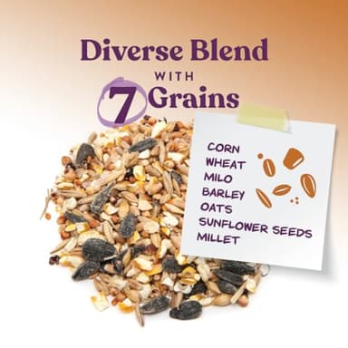 Manna Pro 7-Grain Ultimate Chicken Scratch – Non-GMO Scratch Grain Treat for Chickens, Hens and Other Birds – Natural Multigrain Blend for Poultry and Backyard Flocks – 10 lb Bag - Image 3