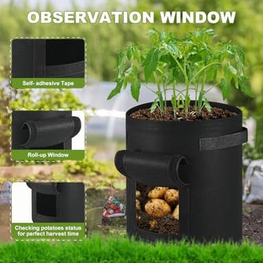 5 Pack Potato Growing Bags, 10 Gallon Non-Woven Gardening Bags with Reinforced Handles, Heavy Fabric Planters with Harvest Window, Great for Growing Tomatoes, Vegetables, and Fruits in the Garden - Image 5