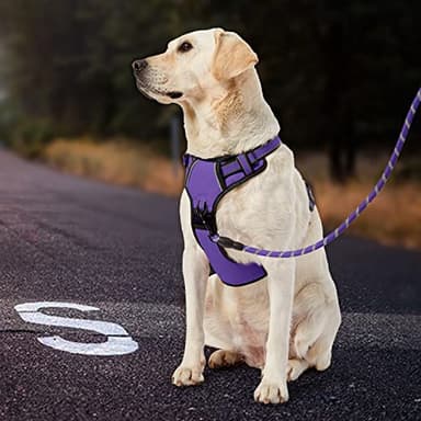 IVY&LANE No Pull Dog Harness for Large Dogs, Dog Vest Harness with Leash, Safety Belt and Storage Strap, Fully Adjustable Harness, 360° Reflective Strip, Soft Handle (Purple, L) - Image 7
