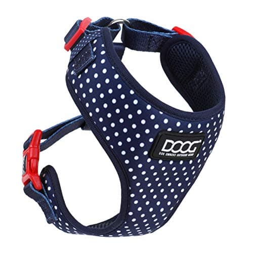 DOOG - All Weather 'Neoflex" Dog Harness, Flexible Neoprene Breathable Mesh Padding Light Wetsuit Material Water Friendly Draws Moisture Away Fir Skin Easy Fit Small, Medium, Large, XL Soft Comfortable 2 Point Adjustable Leash Training Run Walk Swim - Image 1