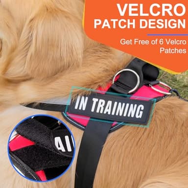 Essential Dog Harness, No Pull Pet Harness with 3 Side Rings for Leash Placement, No Choke, Reflective, Adjustable Pet Vest, Easy On-Off & Improved Control Handle, Training, Walking, Running - Image 5