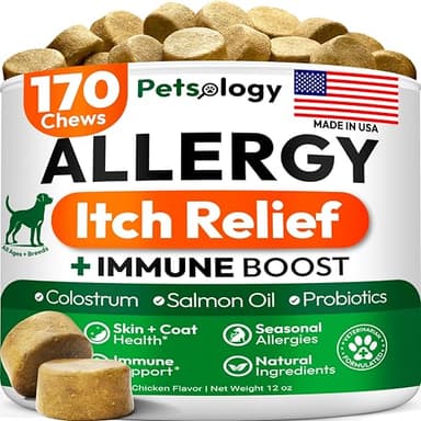 Dog Allergy Relief Chews - 170 Dog Allergy Chews - Itch Relief for Dogs - Omega 3 Fish Oil, Probiotics for Itchy Skin & Hot Spots Allergies, Paw Licking - Dry Skin & Coat Supplement - Immune Health - Image 1