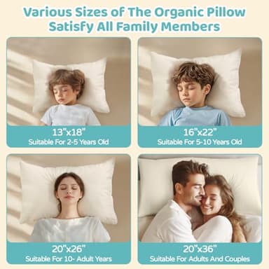 LOFE Organic Pillow with Pillowcase - 20x26 Youth Pillow with 100% Organic Cotton Shell, Adjustable Loft Organic Standard Plilow, Machine Washable, Soft, Perfect for Youth&Adults - Image 7