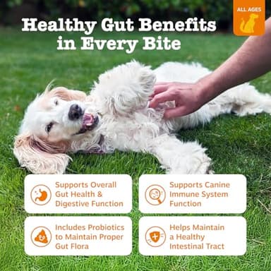 Zesty Paws Probiotics for Dogs, Digestive Enzymes Gut Flora, Digestive Health, Diarrhea & Bowel Support, DE111, Dog Probiotics Soft Chew for Pet Immune System, Chicken, 90 Ct - Image 2