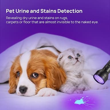 UV Flashlight Black Light, Consciot 51 LED 395nm Ultraviolet Blacklight, Portable Torch Light Pet Urine Detector for Dog/Cat Urine, Dry Stains, Bed Bug, Resin Curing, Matching with Pet Odor Eliminator - Image 4