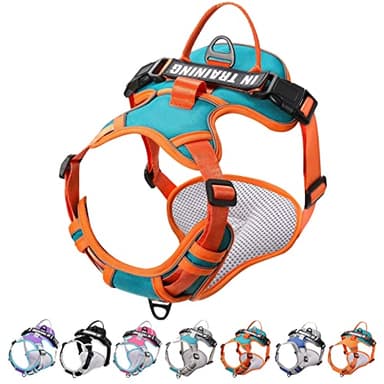 WENDISI Mint Green Large Dog Harness, Reflective Oxford Vest with No Pull & No Choke Dual Clips, Adjustable Soft Padded Harness with Easy Control Handle, for Dog Walking, Jogging, Hiking - Image 9