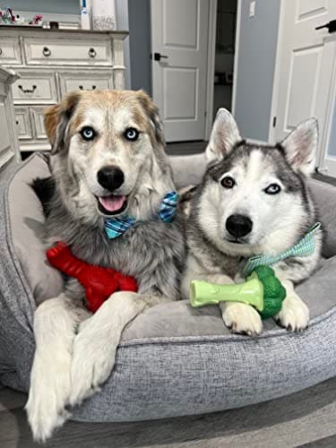 Nylabone Lobster Power Chew Toy for Dogs, Dog Toys for Aggressive Chewers, Filet Mignon Flavor, X-Large Dogs - 50+ lbs, 1 Count - Image 2