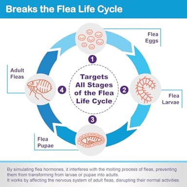 Flea and Tick Prevention for Cats & Kittens: Waterproof Topical Cat Flea and Tick Treatment – Fast-Acting & Long-Lasting At Home Flea Control for Cats Over 1.5 lbs and 8 Weeks or Older – 6 Dose Supply - Image 3