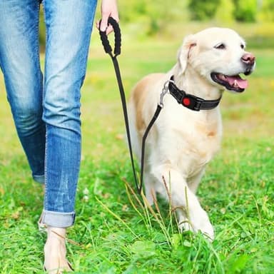 Martingale Collar for Dogs, Reflective Nylon Dog Collar with One 70.86 in Long Dog Leash, Quick Release Buckle, Adjustable Nylon Collars for Dogs Walking Training (Black M - Image 9