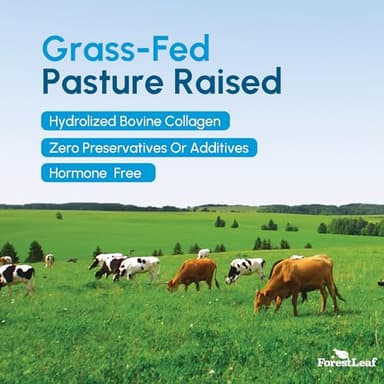 ForestLeaf Multi Collagen Pills with Hyaluronic Acid + Vitamin C | Hydrolyzed Collagen Supplements for Women or Men | Multi Collagen Capsules Peptides for Skin, Wrinkles, 120 Caps - Image 7