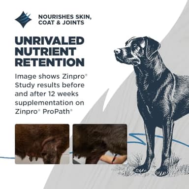 Blackwood Sensitive Skin & Stomach Dry Dog Food, Catfish Meal & Brown Rice with Ancient Grains, 24 Pound Bag with Prebiotics & Probiotics to Promote Gut Health - Image 6