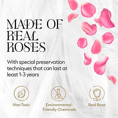 GLAMOUR BOUTIQUE Flower Forever Gift Box 12 Real Preserved Roses in Round Velvet White Box, Handmade, Rose Petals, Birthday, Marriage, Anniversary, Graduation - Pink - Image 2
