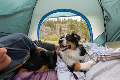 Coleman Skydome Tent with 5 Minute Setup, 2/4/6/8 Person Weatherproof Tent with Rainfly & Carry Bag, 20% More Headroom than Traditional Canopies - Image 2