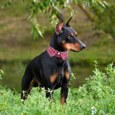 Cotton Dog Collar with Bowtie, Comfortable Adjustable Cute Lapel Design Dog Bow Tie Collar for Small Medium Large Boys and Girls Pets(Red Blue, M(12-17in) - Image 4