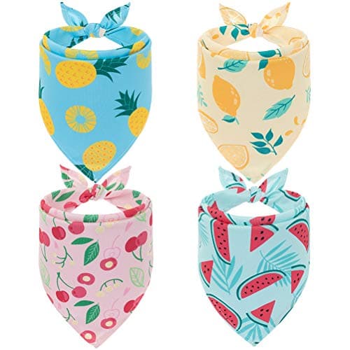 EXPAWLORER Dog Cooling Bandana Set - 4 Pack Hawaii Dog Bandana, Summer Triangle Scarfs Bibs with Cute Fruit Patterns for Small Medium Large Dogs, Large - Image 1