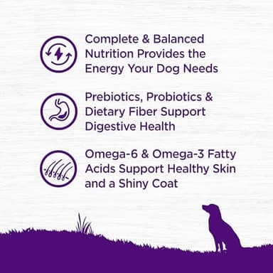 Wellness Complete Health Dry Dog Food with Grains, Natural Ingredients, Made in USA with Real Meat, All Breeds, For Adult Dogs (Whitefish & Sweet Potato, 5-Pound Bag) - Image 4