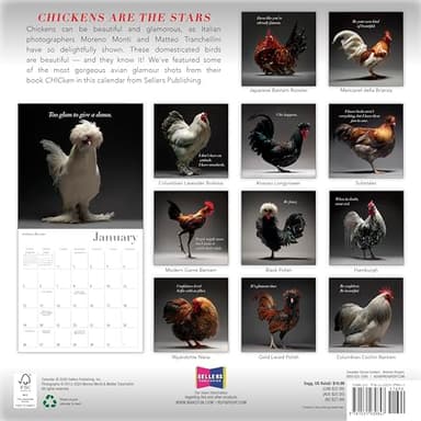 Glamour Chicks 2025 Wall Calendar, 16-Month Humor & Comic Calendar, 12" x 12" - Image 2