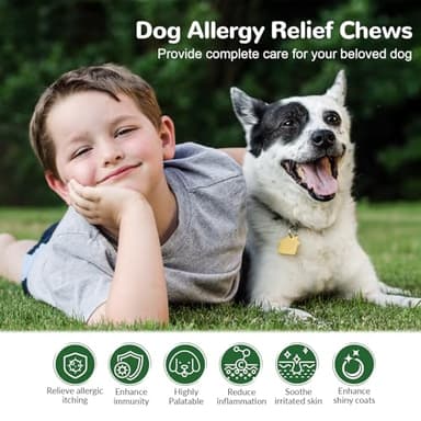 Vetriuntrix Dog Allergy Relief Chews, Dog Itch Relief Chews for Large Dogs Paw Licking Itchy Skin Seasonal Allergies, Probiotics with Astragalus Omega-3 for Coat Immune Supplement-150ct - Image 2