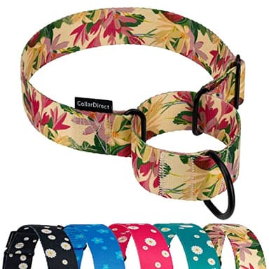 CollarDirect Martingale Collars for Dogs Heavy Duty Floral Pattern Female Safety Nylon Training Wide Collar Flower Design Large Medium (L, Neck Size 15"-20", Toffee) - Image 1