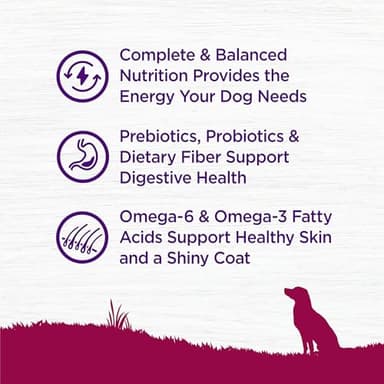Wellness Complete Health Small Breed Dry Dog Food with Grains, Natural Ingredients, Made in USA with Real Turkey, For Dogs Up to 25 lbs, (Adult, Turkey & Oatmeal, 4-Pound Bag) - Image 4