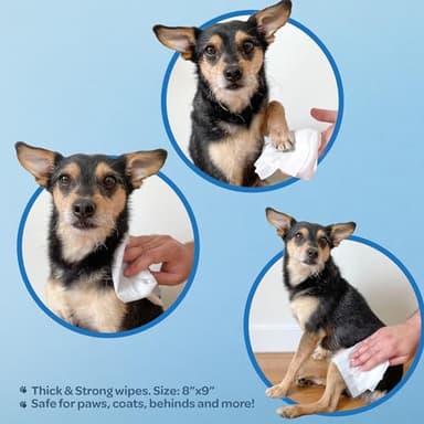 Best Pet Supplies Pet Wipes for Dogs - Dog Wipes Cleaning Deodorizing, for Coats, Ears, Paws - Moisturizing, Coconut, 100 Count - Image 3