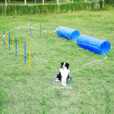 Yiotl Dog Agility Training Starter Kit Backyard Obstacle Course with Interactive Play, Agility Jumps, Weave Poles, Tunnels, Hurdle & Carrying Case - Image 5