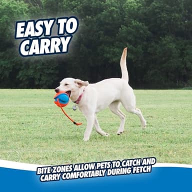 Chuckit! Rope Fetch Dog Toy - Ball on Rope Fetch and Tug-of-War Toy for Dogs - Durable EVA Rubber Construction - 5.5-inch Diameter - 18-inch Rope - Orange and Blue - Image 5