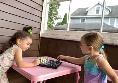 Chess Armory Magnetic 9.5 Inches Travel Chess Set - Folding Board with Storage Box & 2 Extra Queen. - Image 6