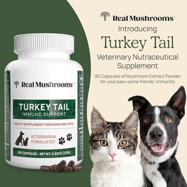 Real Mushrooms Turkey Tail Capsules for Pets –Cat Probiotics & Dog Vitamins – Organic Mushroom Supplement for Dogs & Cats – Supports Daily Balance & Well-Being Non-GMO, 90 ct - Image 2