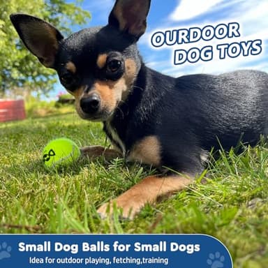 INSUM Squeaky Tennis Balls for Dogs - 12 Pack 2.0'' Durable Non-Toxic Outdoor Dog Toys Balls with Mesh Bag, SGS Certified, Colorful Fetch Toys,Small Breeds - Image 3