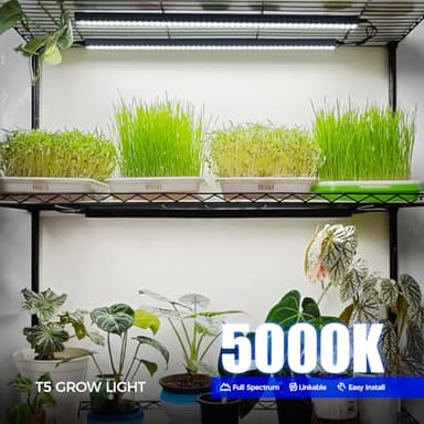 Barrina T5 Grow Lights for Indoor Plants, 2FT 80W(8 x 10W) Black Cover LED Plant Growing Lamp, Full Spectrum Grow Light Strip with Switch, Magnetic Installation, Plug and Play, 5000K, 8 Packs - Image 2