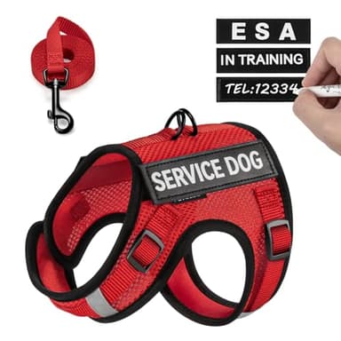FAYOGOO Service Dog Vest for Small Dogs - Air Mesh Breathble Emotional Support Animal Vest with Velcro Patches - No Choke Puppy Harness and Leash Set Adjustable Neck and Chest - Image 7