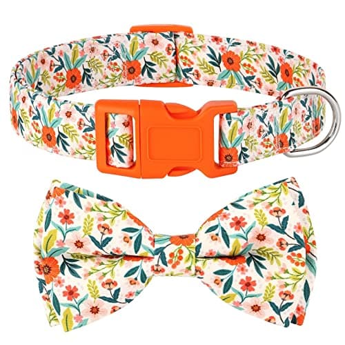 Didog Floral Dog Collar with Bow, Cute Girl Dog Collars with Detachable Bowtie, Soft & Comfy Spring Summer Dog Collar for Small Medium Large Dogs Gift Holiday, Orange, S - Image 1