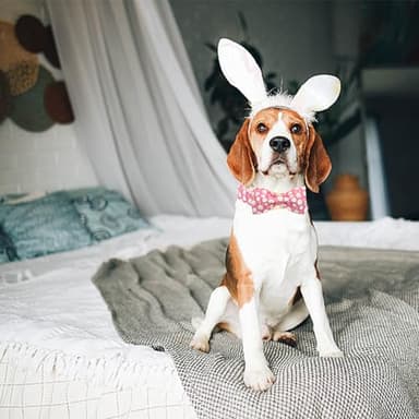 Bobo Rainbow Easter Dog Collar-Pink Rabbit Collar Adjustable Cute Pet Collar Soft Pink Flower Dog Collar with Bow Tie Holiday Cotton Puppy Collar Metal Buckle Collar Gift for Large Dogs - Image 5