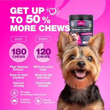 Dog UTI Treatment - Dog Cranberry Supplement for Urinary Tract, Bladder & Kidney Health, Incontinence Support - Bladder Control Cranberry Chews - Cranberry Supplement for Dog Incontinence - Image 5